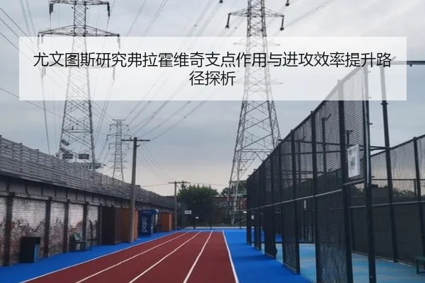 尤文图斯研究弗拉霍维奇支点作用与进攻效率提升路径探析 - kaiyun